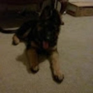 Meet your Posher, Miss